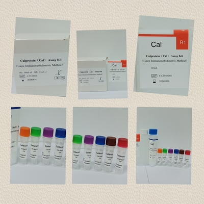 Bộ thử nghiệm Cal Calprotein Quantitative Human Diagnostic Detect Reagent Kit