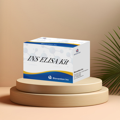 Bộ phát hiện Insulin INS cho con người