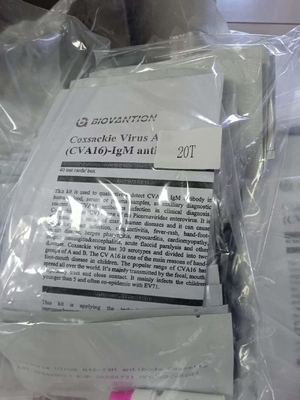 Vi-rút Coxsackie A16 CVA16-IgM Ác thể Cassette Thử nghiệm nhanh huyết thanh Thử nghiệm nhanh chuyên nghiệp