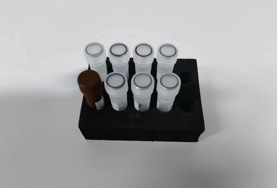 Virus viêm gan B HBV PCR định lượng KIT Độ nhạy mẫu thử loại thử nghiệm với 96 xét nghiệm