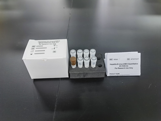 Virus viêm gan B HBV PCR định lượng KIT Độ nhạy mẫu thử loại thử nghiệm với 96 xét nghiệm