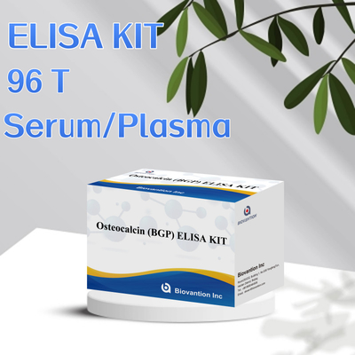 Bộ phát hiện cho Osteocalcin BGP cho con người Chẩn đoán phản ứng cho huyết thanh plasma của con người
