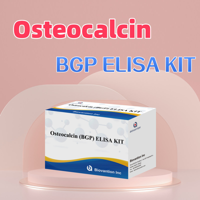 Bộ phát hiện cho Osteocalcin BGP cho con người Chẩn đoán phản ứng cho huyết thanh plasma của con người