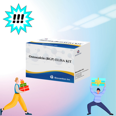 Bộ phát hiện cho Osteocalcin BGP cho con người Chẩn đoán phản ứng cho huyết thanh plasma của con người