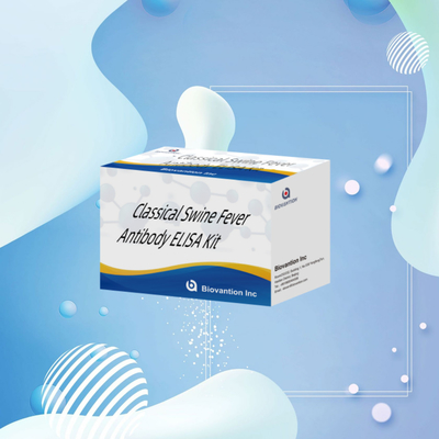 Bộ phát hiện cho CSFV Kháng thể dịch tả lợn cổ điển cho động vật Chẩn đoán phản ứng 192T