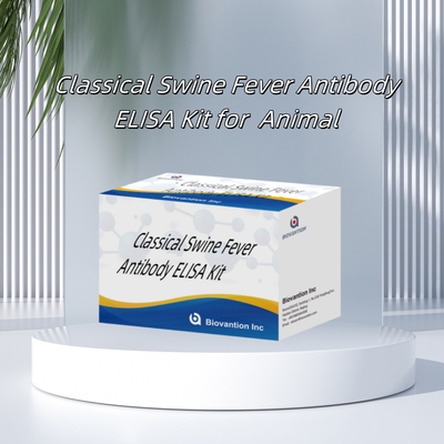 Bộ phát hiện cho CSFV Kháng thể dịch tả lợn cổ điển cho động vật Chẩn đoán phản ứng 192T