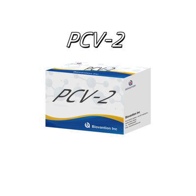 WB/S/P PCV-2 ELISA thử nghiệm kháng thể động vật