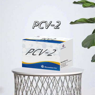 WB/S/P PCV-2 ELISA thử nghiệm kháng thể động vật