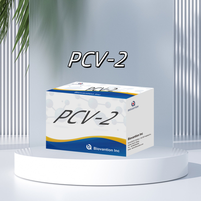 WB/S/P PCV-2 ELISA thử nghiệm kháng thể động vật