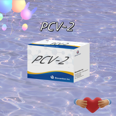 WB/S/P PCV-2 ELISA thử nghiệm kháng thể động vật