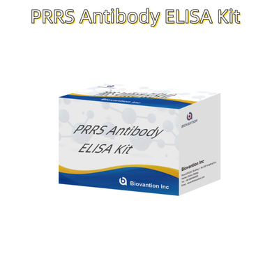 Xét nghiệm ELISA cho động vật PRRSV