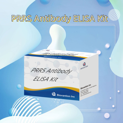 Xét nghiệm ELISA cho động vật PRRSV
