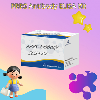 Xét nghiệm ELISA cho động vật PRRSV