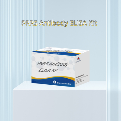 Xét nghiệm ELISA cho động vật PRRSV