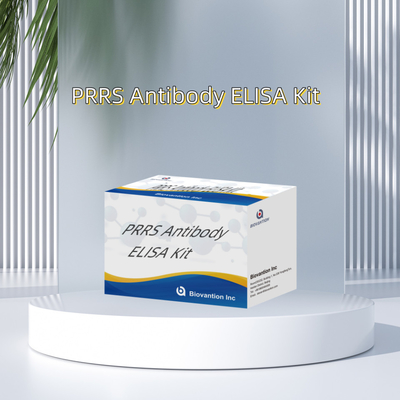 Xét nghiệm ELISA cho động vật PRRSV