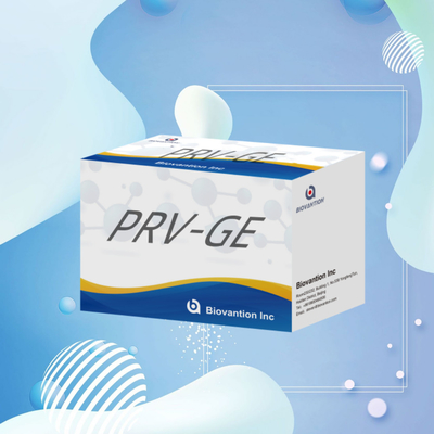 Bộ phát hiện cho vật phản ứng phát hiện động vật Bộ ELISA kháng thể PRV-GE