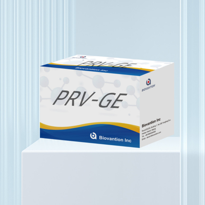 Bộ phát hiện cho vật phản ứng phát hiện động vật Bộ ELISA kháng thể PRV-GE