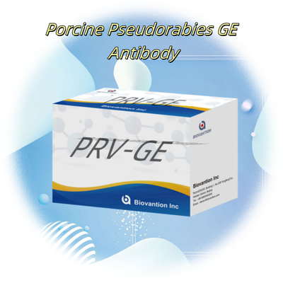 Bộ phát hiện cho vật phản ứng phát hiện động vật Bộ ELISA kháng thể PRV-GE