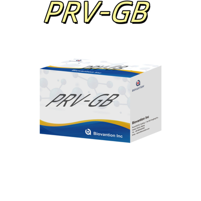 Tính đặc thù Bộ thử nghiệm miễn dịch ELISA cho chất phản ứng phát hiện huyết thanh PRV