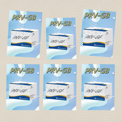 Tính đặc thù Bộ thử nghiệm miễn dịch ELISA cho chất phản ứng phát hiện huyết thanh PRV