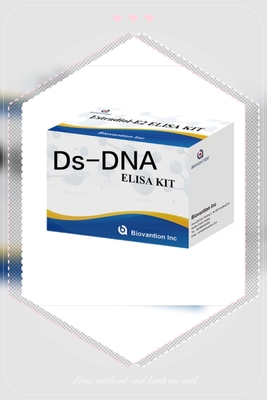 Thiết bị thử nghiệm ELISA IgG chống Ds-DNA chất lượng chống kháng thể DNA chuỗi kép
