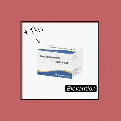 Free Testosterone Free Tes ELISA Test Kit Nguyên tắc ELISA cạnh tranh