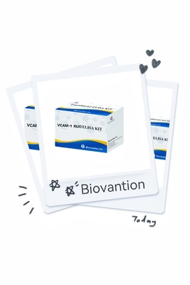 VCAM-1 RUO Elisa Kit Mô-léc gắn kết tế bào nội tiết mạch máu con người 1