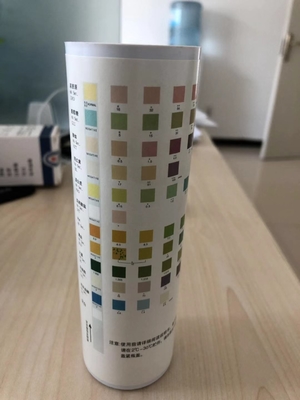 Phân tích nước tiểu Dải thử Chất hóa học khô Phương pháp nước tiểu-H-11