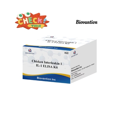IL 1 ELISA Test Kit Interleukin-1 huyết thanh và huyết tương của con người