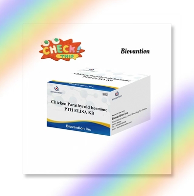 Phương tiện thử nghiệm PTH ELISA Chicken Enzyme-Linked Immunosorbent Parathyroid Hormone Serum