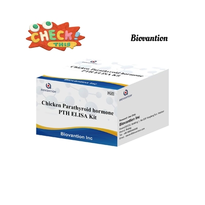 Phương tiện thử nghiệm PTH ELISA Chicken Enzyme-Linked Immunosorbent Parathyroid Hormone Serum