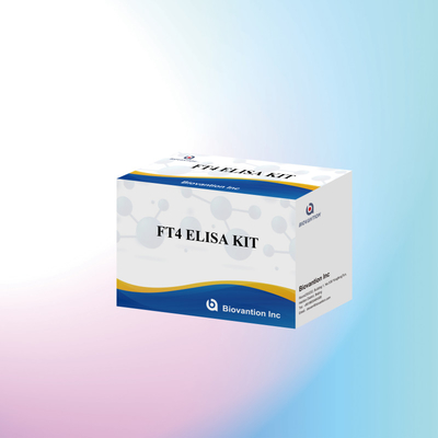 TOXO IgM IgG igg igm ELISA kit cho thử nghiệm thuốc thử nghiệm chẩn đoán cho con người với 96 kit