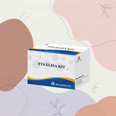 TOXO IgM IgG igg igm ELISA kit cho thử nghiệm thuốc thử nghiệm chẩn đoán cho con người với 96 kit