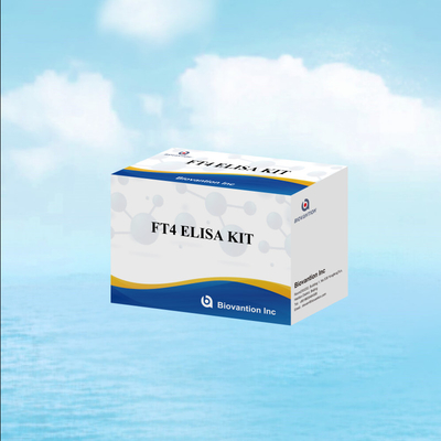 TOXO IgM IgG igg igm ELISA kit cho thử nghiệm thuốc thử nghiệm chẩn đoán cho con người với 96 kit