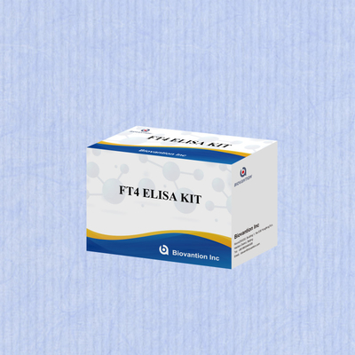 TOXO IgM IgG igg igm ELISA kit cho thử nghiệm thuốc thử nghiệm chẩn đoán cho con người với 96 kit