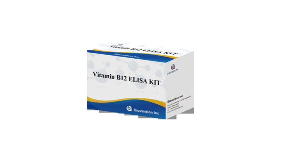 Vitamin B1 Elisa Test Kit Thử nghiệm trên động vật của sản phẩm liên quan đến enzyme