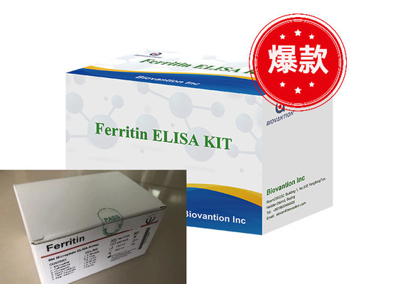 Ferritin Elisa Test Kit Các sản phẩm liên quan đến enzyme Thời gian vận chuyển ngắn Chất lượng cao
