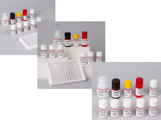 Phòng thí nghiệm hoặc bệnh viện High Precision Human ferritin FE ELISA TEST KIT