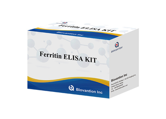 Phòng thí nghiệm hoặc bệnh viện High Precision Human ferritin FE ELISA TEST KIT