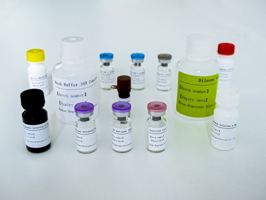 Bộ thử nghiệm ELISA IGRA dễ bị lao với thời gian sử dụng dài và phương pháp bảo quản 2C-8C