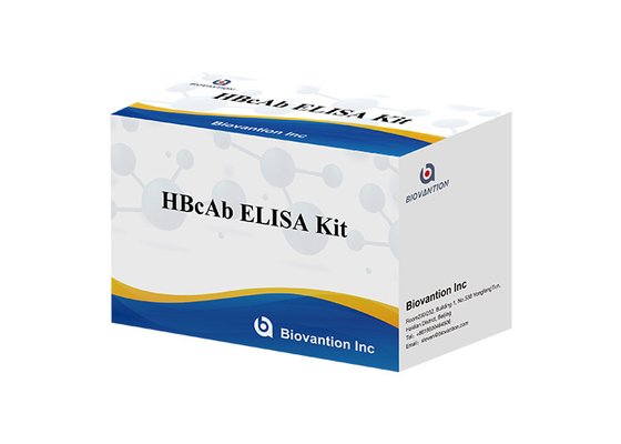 Bán nóng Chẩn đoán phản ứng sử dụng cho con người với 96 xét nghiệm Hbc kháng thể HBcAb Elisa Kit