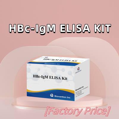 Xét nghiệm chất phản ứng chẩn đoán HBc IgM chính xác cao với bộ thử nghiệm hấp thụ miễn dịch liên kết với enzyme