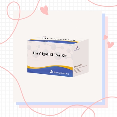 HAV IgM Elisa Test Viêm gan A Diagnostic Kit In Vitro Enzyme Immunoassay