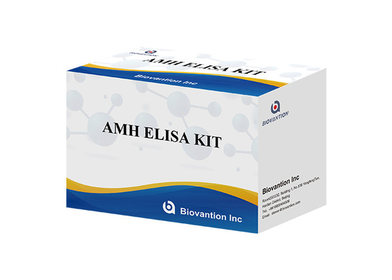 Thiết bị thử nghiệm hormone chống Mullerian AMH Elisa Cho người dùng với huyết thanh Plasma