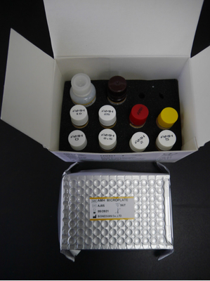 Thiết bị thử nghiệm hormone chống Mullerian AMH Elisa Cho người dùng với huyết thanh Plasma