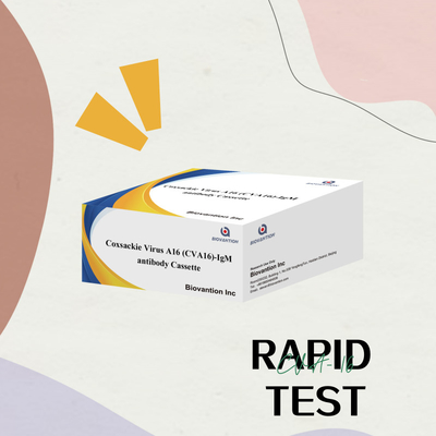 Chất phản ứng chẩn đoán IVD CVA16 Virus Coxsackie A16 CVA16-IgM Antibody Cassette WB/S/P Colloidal Gold Rapid Test
