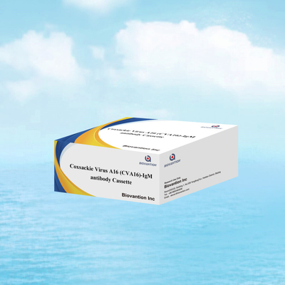 Chất phản ứng chẩn đoán IVD CVA16 Virus Coxsackie A16 CVA16-IgM Antibody Cassette WB/S/P Colloidal Gold Rapid Test