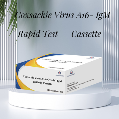 Chất phản ứng chẩn đoán IVD CVA16 Virus Coxsackie A16 CVA16-IgM Antibody Cassette WB/S/P Colloidal Gold Rapid Test