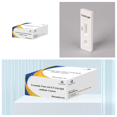 Chất phản ứng chẩn đoán IVD CVA16 Virus Coxsackie A16 CVA16-IgM Antibody Cassette WB/S/P Colloidal Gold Rapid Test