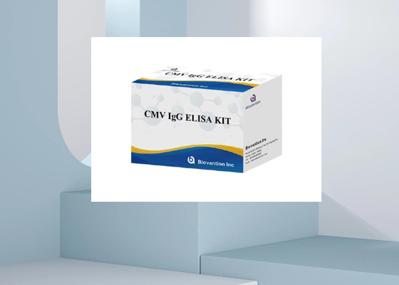 CMV IgG Elisa Test Kit ELISA Diagnostic Kit IgG kháng thể chống lại cytomegalovirus